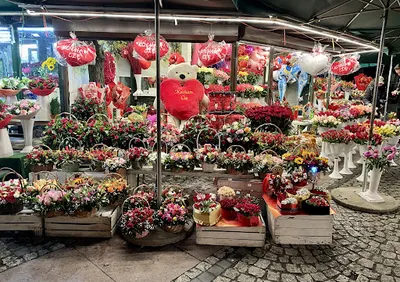 Kwiaciarnia Plac Solny