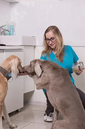 Przychodnia Weterynaryjna OptoVet Wrocław