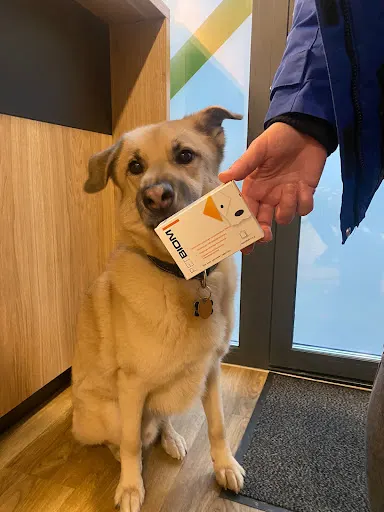 Centrum Weterynarii Mieszczańska